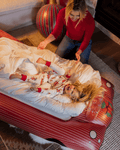 Kids Air Mattress