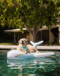 FUNBOY x Bark Private Jet Dog Float
