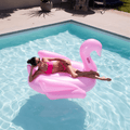 Swan Pool Float