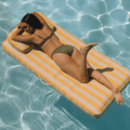 Fabric Classic Mat Lounger