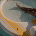 Leisure Island