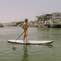 Stand Up Paddle Board