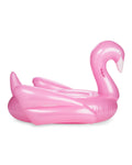 Swan Pool Float