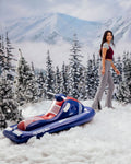 Snowmobile Snow Sled